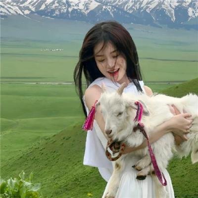 亚历山大和他最糟糕的旅程